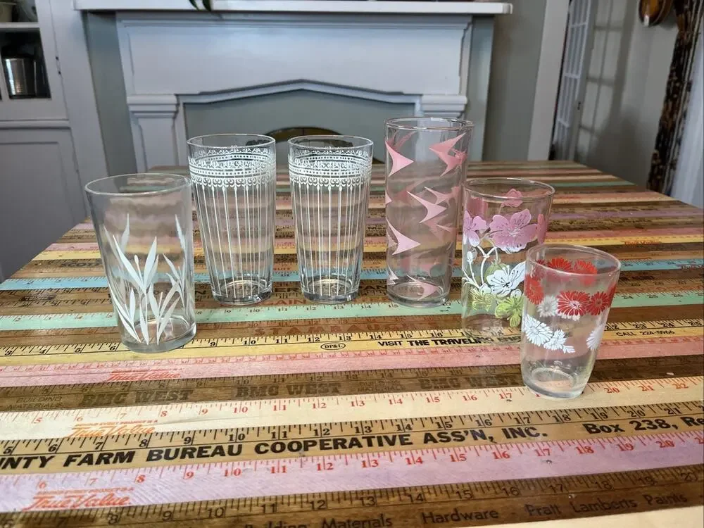 Vintage Floral Drinking Glass Lot of 6 Vintage Retro 60s MCM Tumblers Flowers